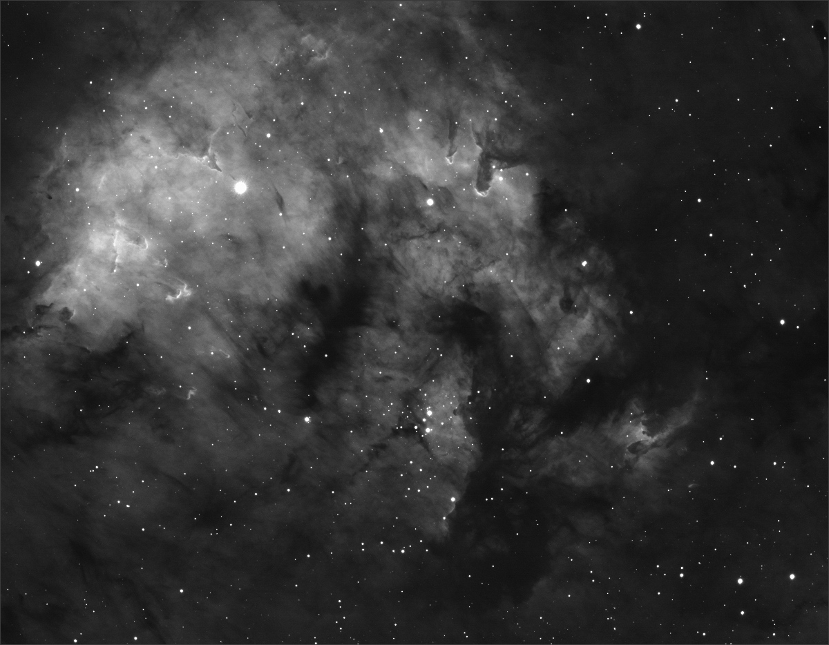 n7822-1200.jpg