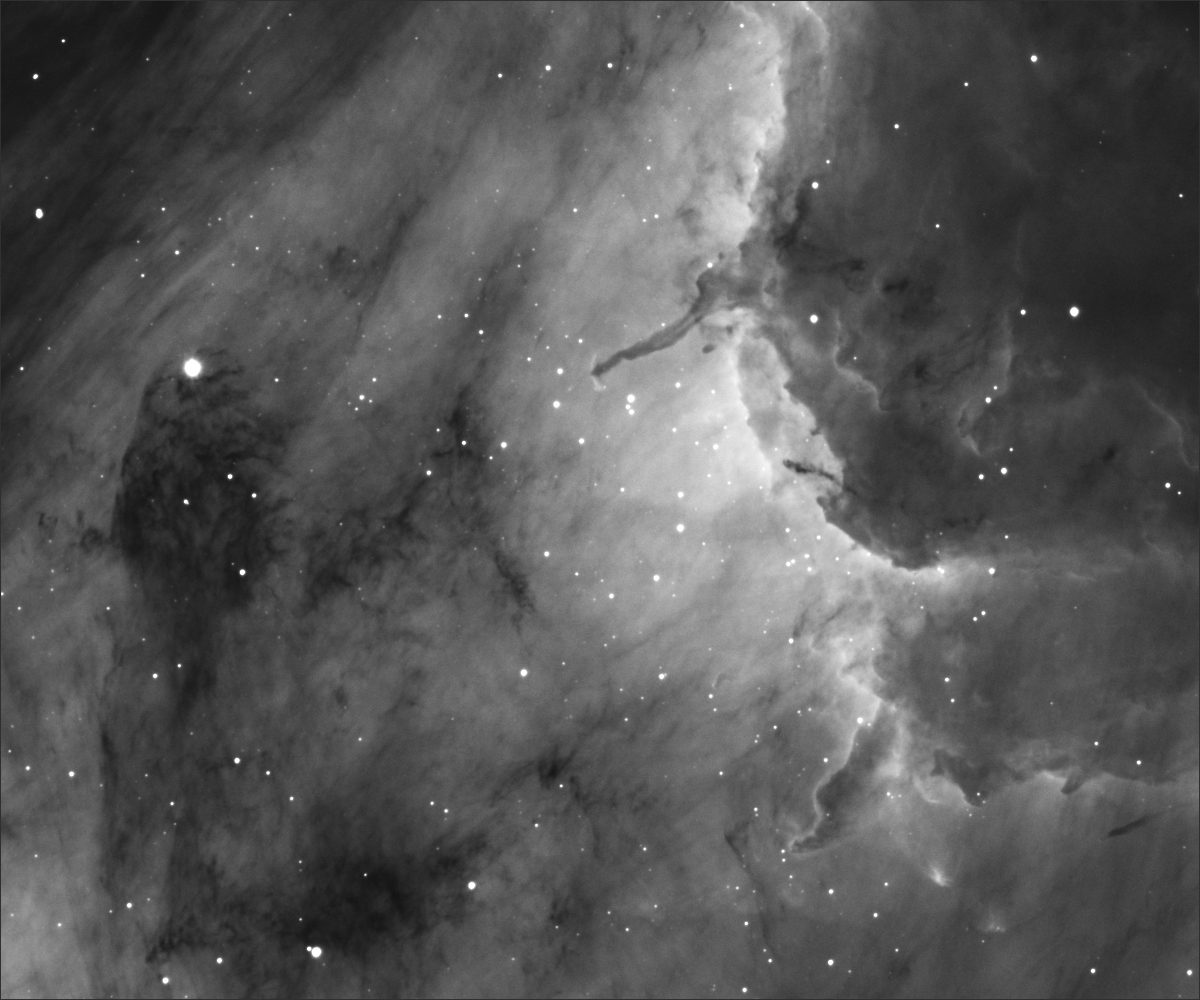 pelican-1200.jpg