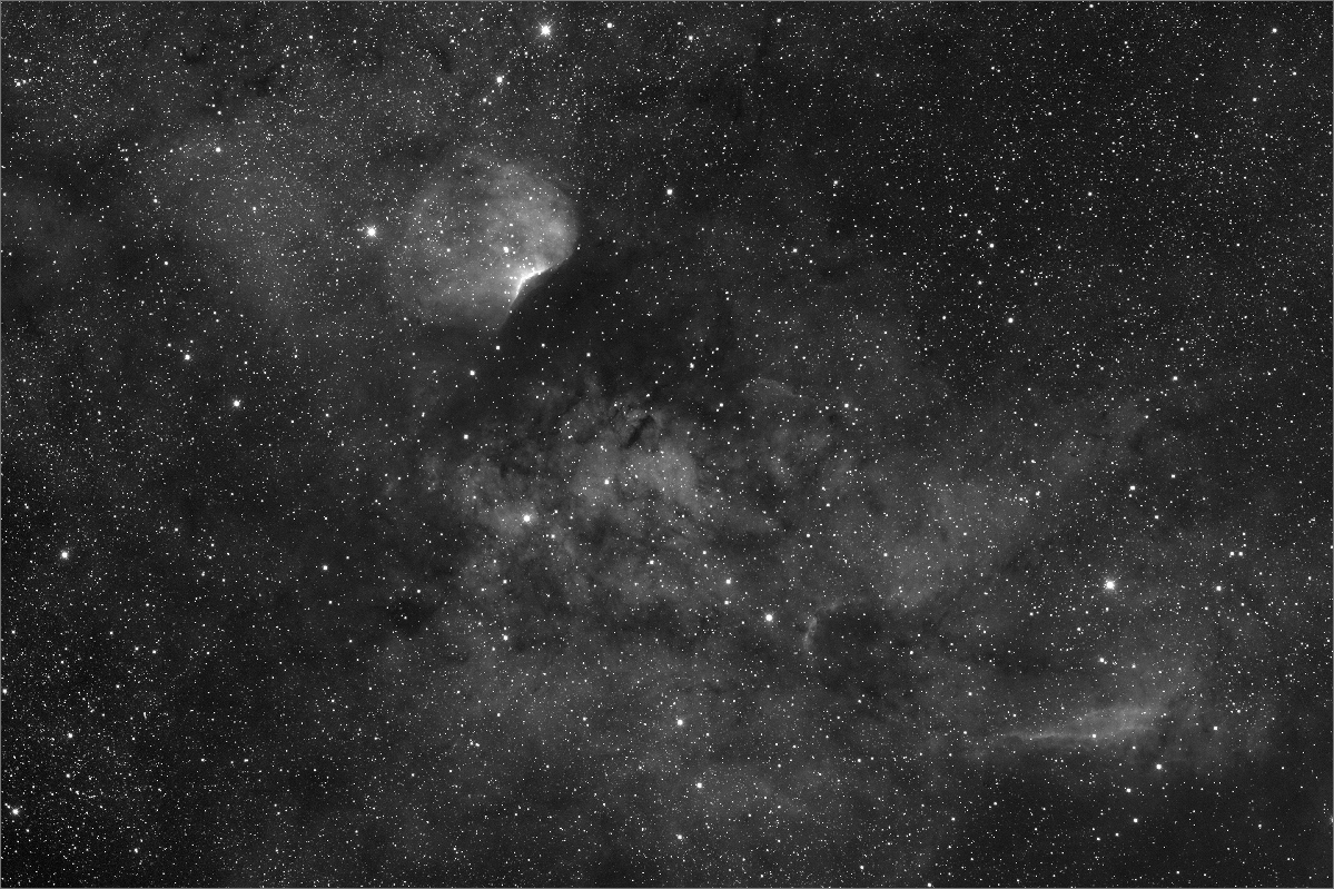 sh140andcoe-1200.jpg
