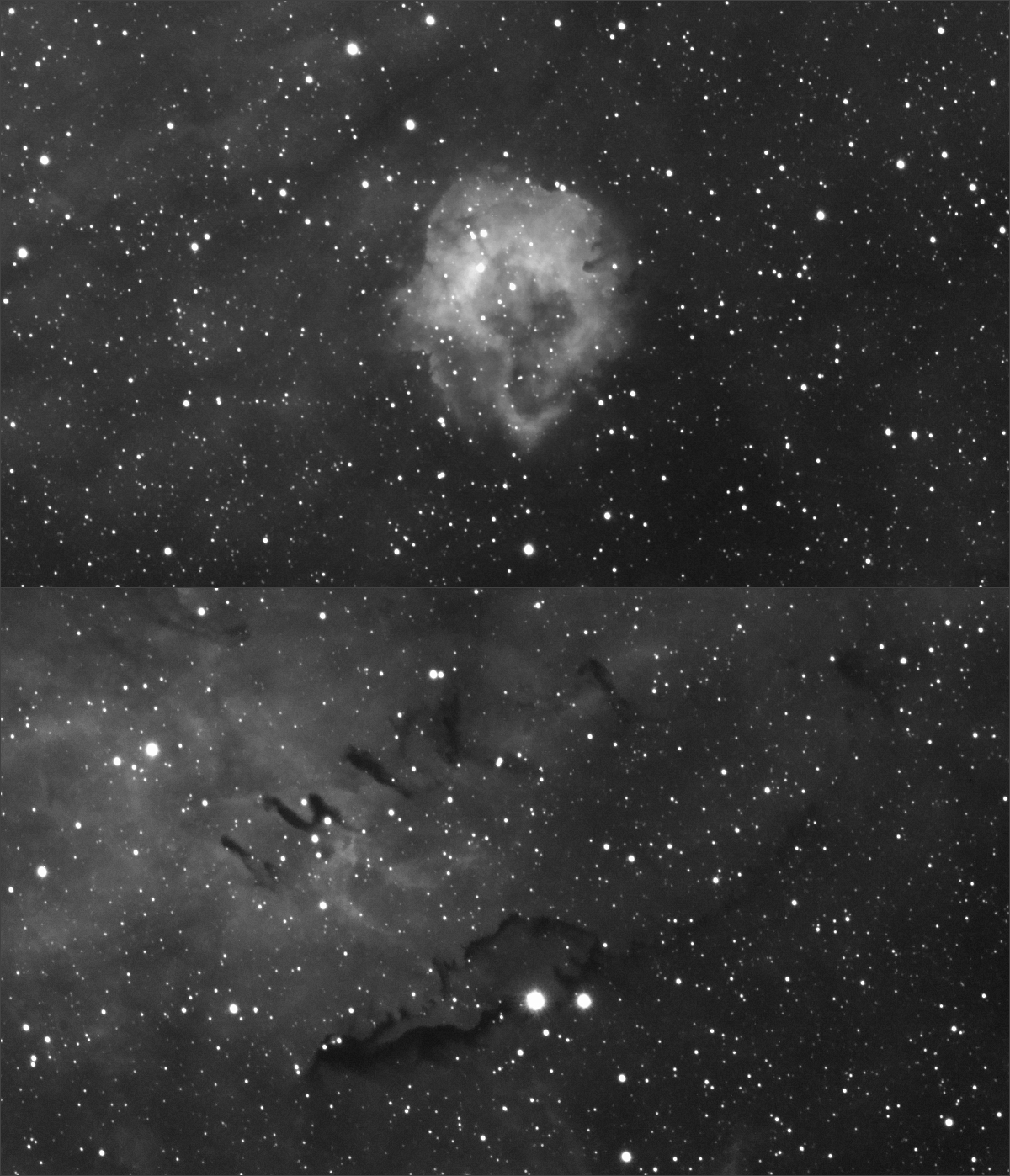 sh2-104-fs128fd55-1200.jpg