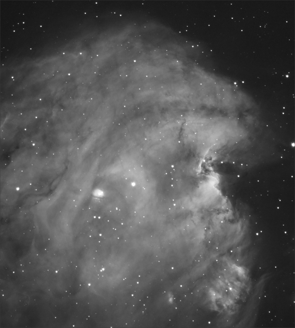 singe-fs128-1200.jpg