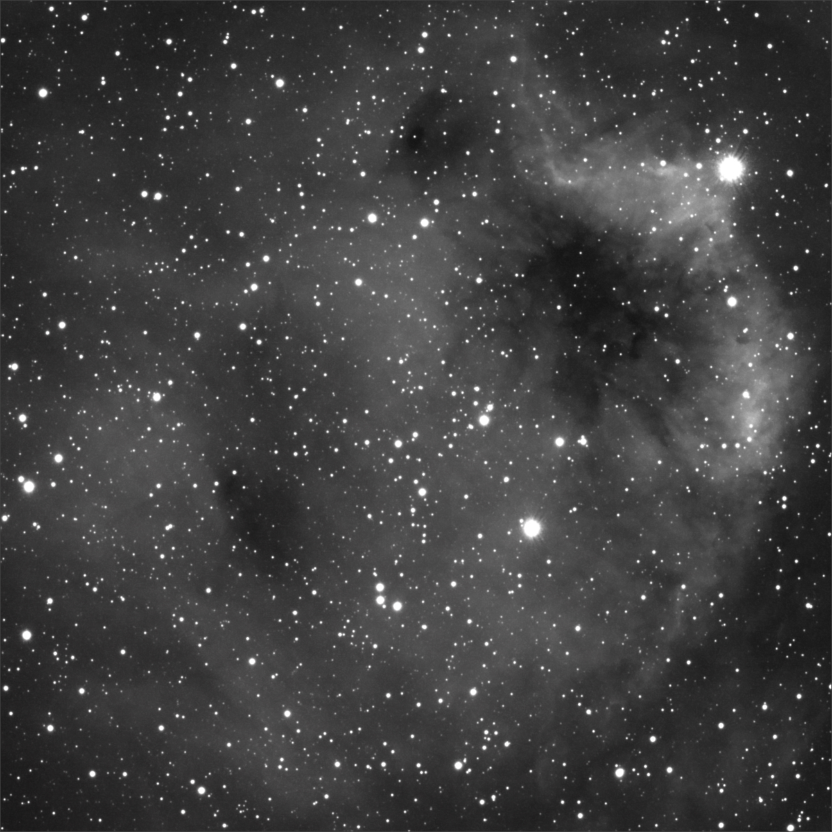 tetedelabati-fs128-1200.jpg